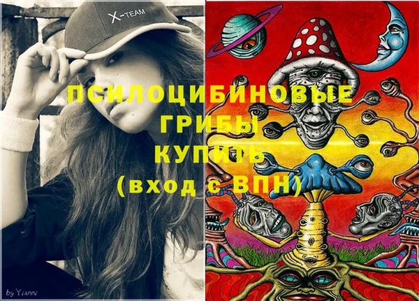 Альфа ПВП Алзамай